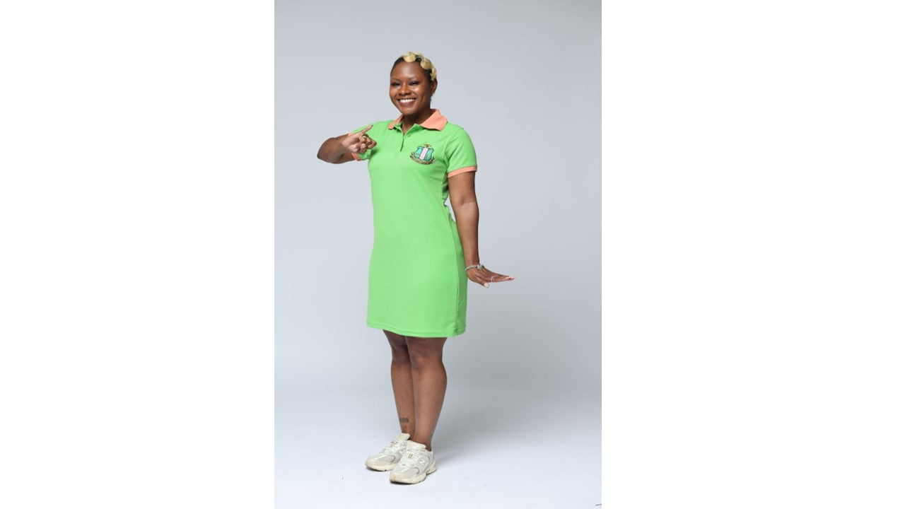 AKA Two Tone Polo Dress