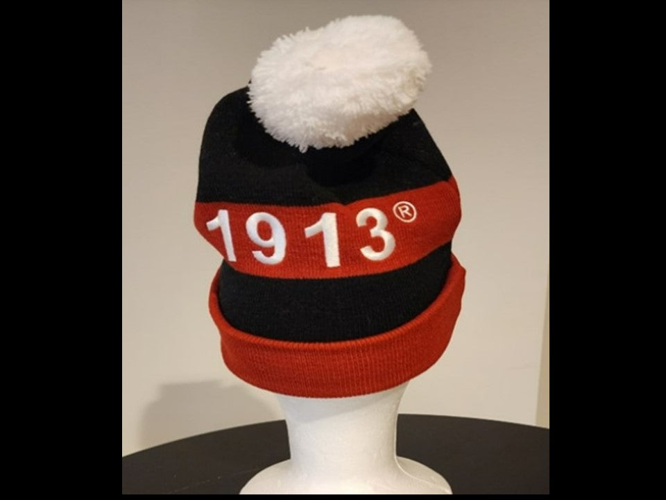 Delta Pom Pom Hat