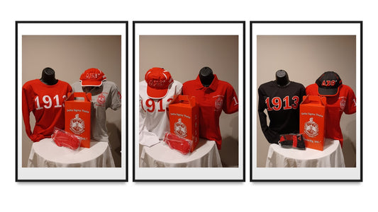 Delta LS 1913 Polo Bundle