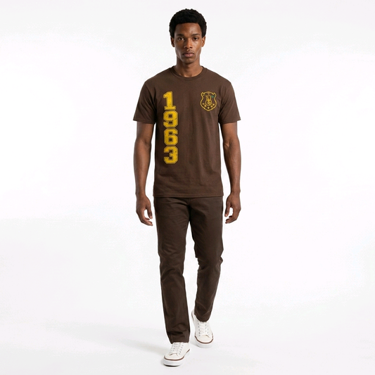 Iota Phi Theta Silk Screen TShirt